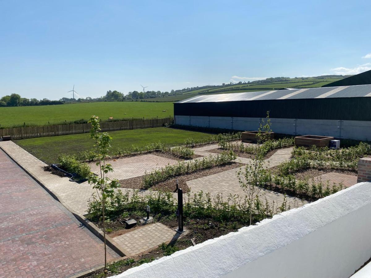 Ballymullock Barn Lofts Carncastle Kültér fotó